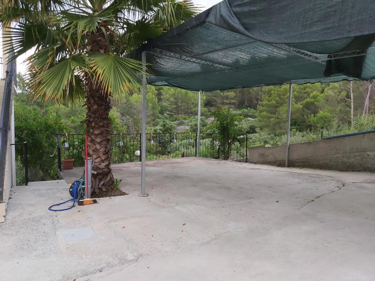 Jungle Jam Trogir