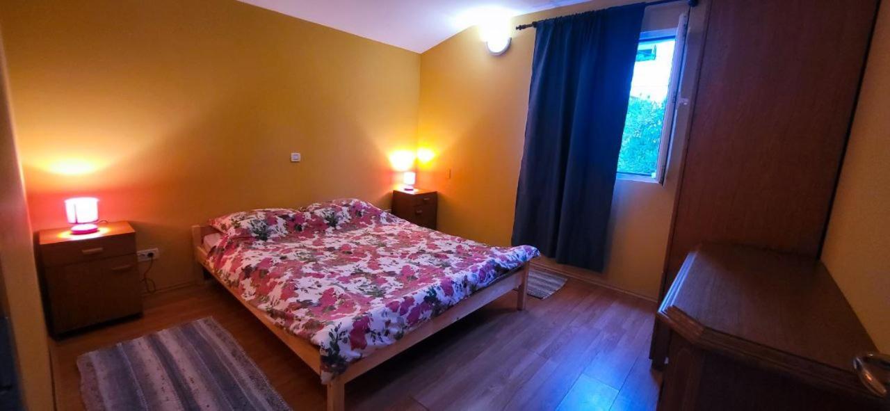 Apartman Jungle Jam *